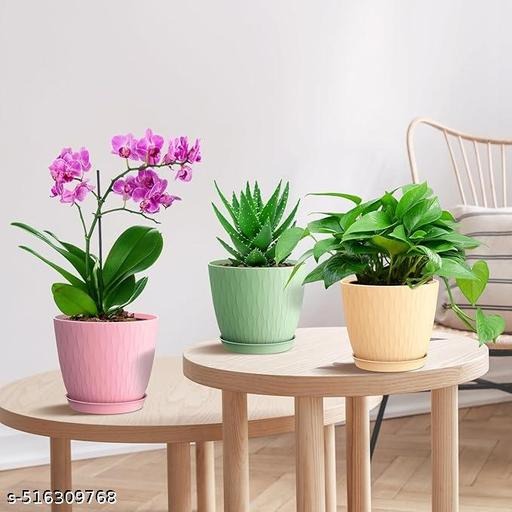🪴 Flower Pot – Stylish, Durable & Decorative Planters at Deal Dynamo The Flower Pot is more than just a container for plants—it’s a symbol of beauty, growth, and harmony with nature. Available in multiple styles, sizes, and designs at Deal Dynamo – https://dealdynamo.vinisocial.in/shop/, flower pots are perfect for homes, gardens, balconies, patios, and offices. Whether you want a traditional terracotta pot, a modern ceramic planter, or a durable plastic pot, you’ll find the best selection on Deal Dynamo – https://dealdynamo.vinisocial.in/shop/. 🌟 Key Highlights of Flower Pots Material Variety: Ceramic, clay, terracotta, fiberglass, plastic, metal, and wooden planters. Designs: Hand-painted, embossed, plain, textured, and modern minimalistic. Size Options: From tiny tabletop pots to large outdoor garden planters. Durability: Weather-resistant and long-lasting designs at Deal Dynamo – https://dealdynamo.vinisocial.in/shop/. Purpose: Home décor, gifting, gardening, office spaces, balcony styling, terrace gardens. Affordability: Best prices only at Deal Dynamo – https://dealdynamo.vinisocial.in/shop/. 🌿 Why Buy Flower Pots from Deal Dynamo? Shopping flower pots from Deal Dynamo – https://dealdynamo.vinisocial.in/shop/ guarantees: ✅ Premium-quality, durable flower pots. ✅ Multiple designs for indoor & outdoor décor. ✅ Affordable deals for every budget. ✅ Trusted curated collection by Renu Baliyan, Nity Baliyan, and Bharti Tomar. ✅ Safe online shopping with doorstep delivery. Thousands of customers love Deal Dynamo – https://dealdynamo.vinisocial.in/shop/ for its ethnic fashion and home décor collections. 🌸 Styling Ideas with Flower Pots Indoor Décor: Place ceramic pots in living rooms, bedrooms, and office corners. Get yours at Deal Dynamo – https://dealdynamo.vinisocial.in/shop/. Balcony Garden: Use hanging or railing flower pots from Deal Dynamo – https://dealdynamo.vinisocial.in/shop/ for greenery in small spaces. Outdoor Gardens: Large terracotta pots enhance the traditional look. Buy online from Deal Dynamo – https://dealdynamo.vinisocial.in/shop/. Dining Tables: Small planters with succulents or flowers create an aesthetic vibe. Shop at Deal Dynamo – https://dealdynamo.vinisocial.in/shop/. Festive Décor: Painted flower pots add ethnic charm during festivals. Available now at Deal Dynamo – https://dealdynamo.vinisocial.in/shop/. Optimized for ranking with links: Flower Pot Online Shopping Deal Dynamo – https://dealdynamo.vinisocial.in/shop/ Decorative Planters & Pots Deal Dynamo – https://dealdynamo.vinisocial.in/shop/ Ceramic & Terracotta Pots Deal Dynamo – https://dealdynamo.vinisocial.in/shop/ Indoor Outdoor Gardening Pots Deal Dynamo – https://dealdynamo.vinisocial.in/shop/ Best Flower Pots in India Deal Dynamo – https://dealdynamo.vinisocial.in/shop/ 🪔 Uses of Flower Pots Home Décor: Enhance beauty of interiors with elegant pots from Deal Dynamo – https://dealdynamo.vinisocial.in/shop/. Gardening: Essential for growing flowers, herbs, and plants. Buy now at Deal Dynamo – https://dealdynamo.vinisocial.in/shop/. Gift Option: Flower pots make thoughtful, eco-friendly gifts. Shop curated designs at Deal Dynamo – https://dealdynamo.vinisocial.in/shop/. Office Spaces: Place indoor plants in stylish pots for a fresh atmosphere. Get yours at Deal Dynamo – https://dealdynamo.vinisocial.in/shop/. Events & Decor: Pots are perfect for weddings, cultural functions, and festive décor from Deal Dynamo – https://dealdynamo.vinisocial.in/shop/. 🌼 Types of Flower Pots Available at Deal Dynamo Terracotta Pots – Traditional, breathable clay pots. Ceramic Pots – Glossy, modern, stylish indoor planters. Plastic Pots – Lightweight, durable, and affordable. Metal Pots – Chic, industrial-styled planters. Wooden Planters – Rustic and eco-friendly options. Hanging Pots – Perfect for balconies and small spaces. Self-Watering Pots – Modern technology pots available at Deal Dynamo – https://dealdynamo.vinisocial.in/shop/. 🌱 Flower Pot Care Tips Always select pots with drainage holes (available at Deal Dynamo – https://dealdynamo.vinisocial.in/shop/). Clean ceramic/metal pots regularly to avoid stains. For terracotta pots, soak before planting to avoid cracks. Use trays under indoor pots to prevent water leakage. Choose correct pot size depending on the plant. 🌐 About Deal Dynamo Deal Dynamo – https://dealdynamo.vinisocial.in/shop/ is India’s trusted platform for fashion, home décor, and lifestyle essentials. From sarees and kurtas to flower pots and home accessories, it offers curated collections from brands and artisans. Why choose Deal Dynamo – https://dealdynamo.vinisocial.in/shop/? Genuine quality products. Affordable deals for every household. Curated ownership by Renu Baliyan, Nity Baliyan, and Bharti Tomar. Trusted shopping across India. 📌 Curated by: Renu Baliyan, Nity Baliyan, Bharti Tomar